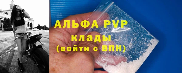 стафф Елизово