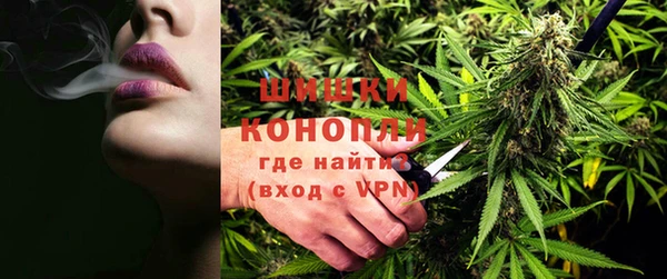 стафф Елизово