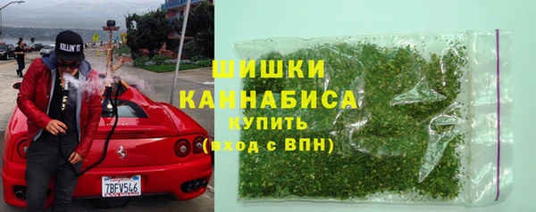 стафф Елизово